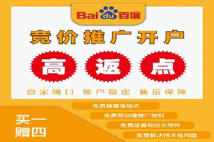 竞价广告的创意与执行：一则经典案例剖析